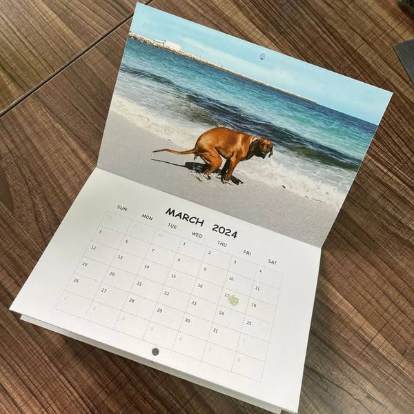 2024 Dogs Pooping in Beautiful Places Calendar
