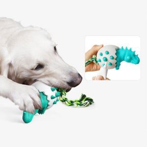 Dinosaur Eggs Dog Chew Toys