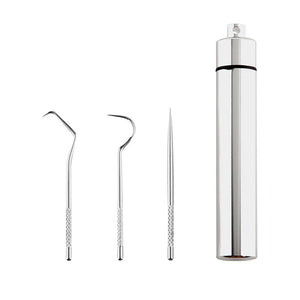 Stainless Steel Toothpick Set