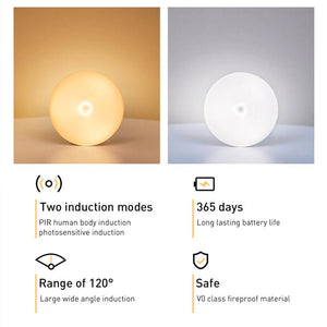 Intelligent human induction LED night light