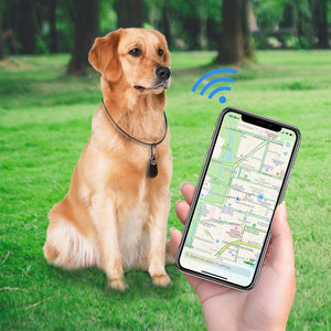 Pets GPS Tracker & Activity Monitor